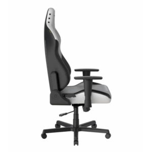 صندلی گیمینگ DXRacer Drifting 2025 Winter